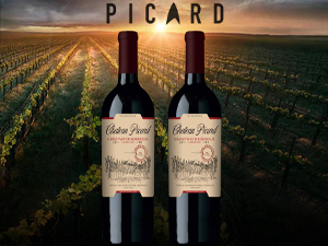 Chateau Picard: The backstory behind this legendary Star Trek Wine