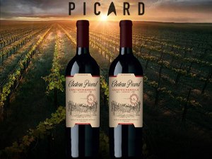 Chateau Picard: The backstory behind this legendary Star Trek Wine ...