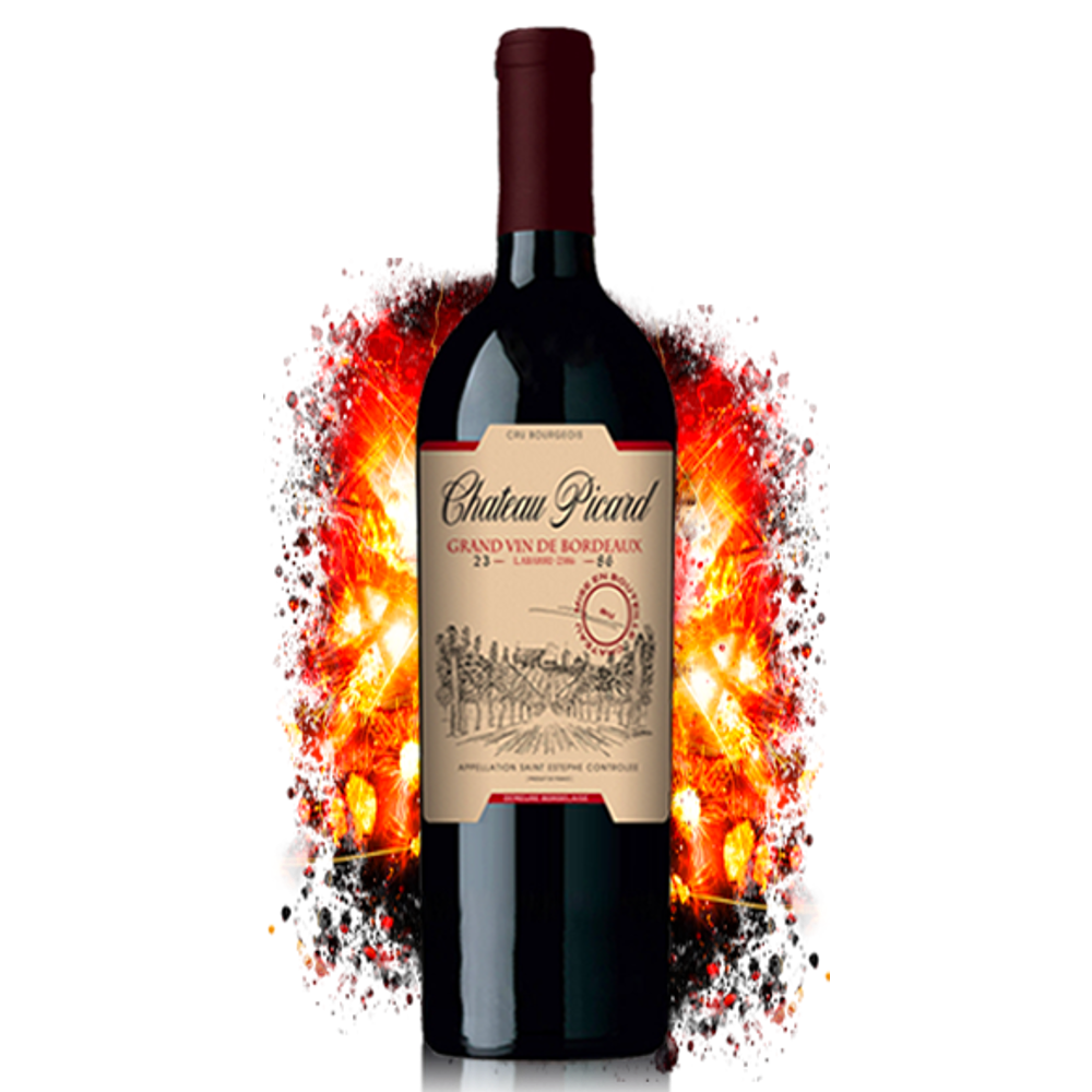 Star Trek - Chateau Picard 2386 (Original)